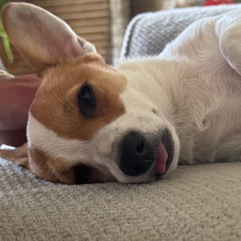 Meet your Posher, Jayme